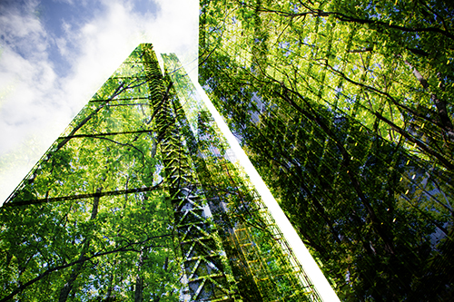 Environmental regulations for UK businesses explained
